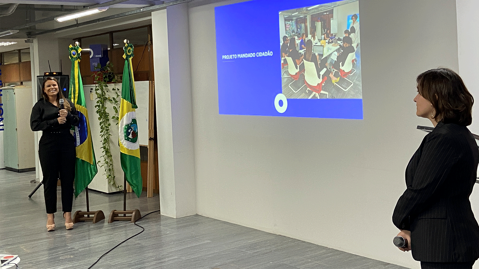 simplificacao-mandado-slide (7)